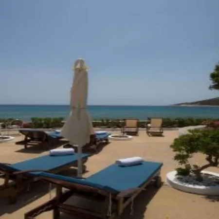 Ageliki Sifnos Platis Gialos (Sifnos)