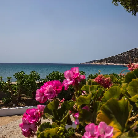 Ageliki Sifnos Oda ve Kahvaltı Platis Gialos (Sifnos)